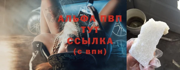 амф Алексин