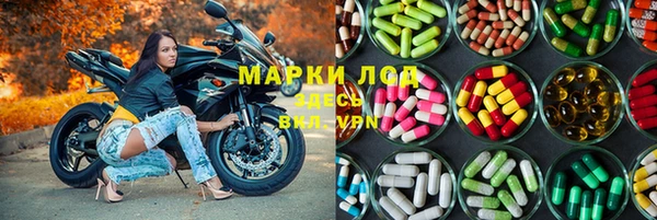 амф Алексин