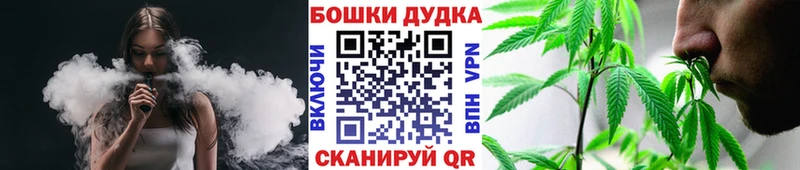 Бошки марихуана MAZAR  Суджа 